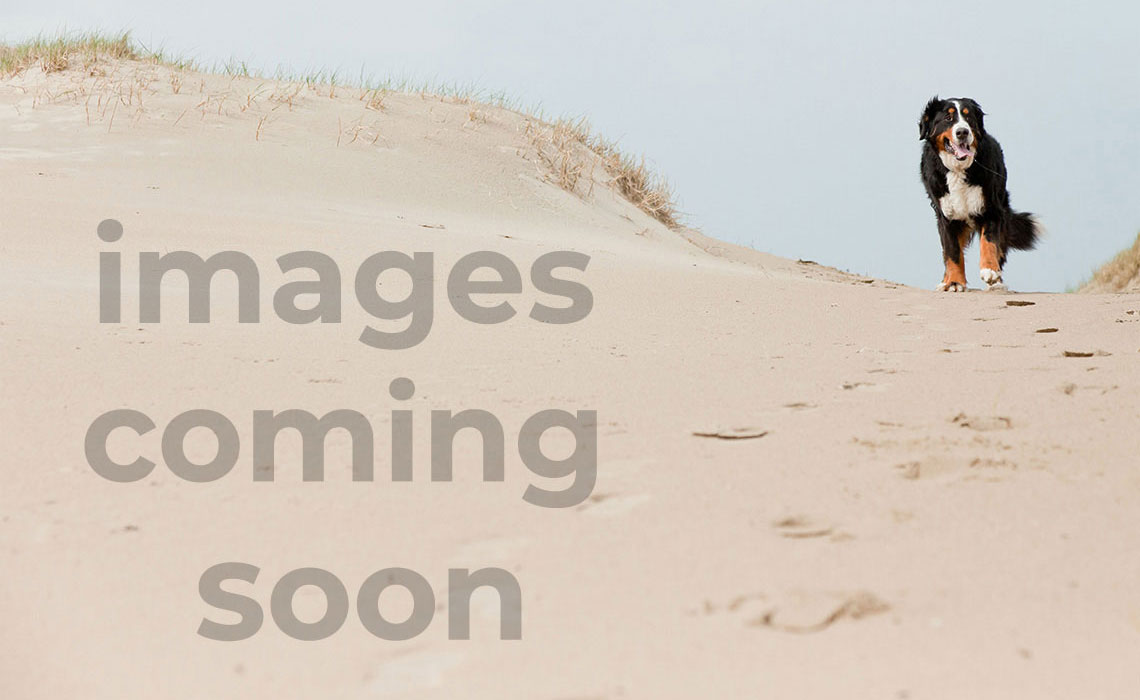 Vintage Hatteras Yacht