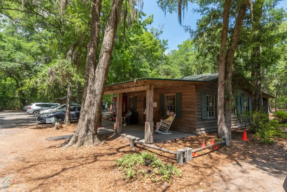 Angel Oak in Charleston SC