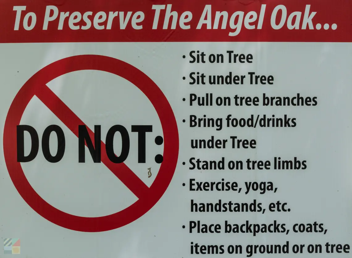 Angel Oak in Charleston SC