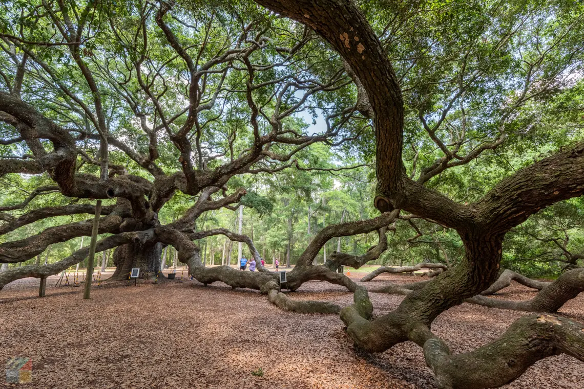 Angel Oak
