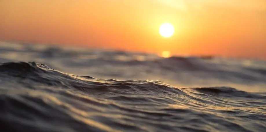 Sunset Charter | 52' Luxury Yacht