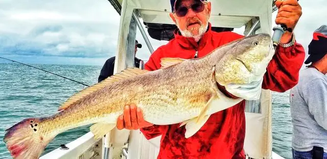 Fishzilla Charters - Inshore/Nearshore Trip