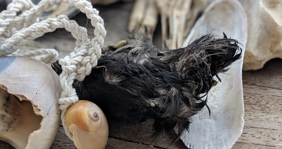 Under the Sea Workshop