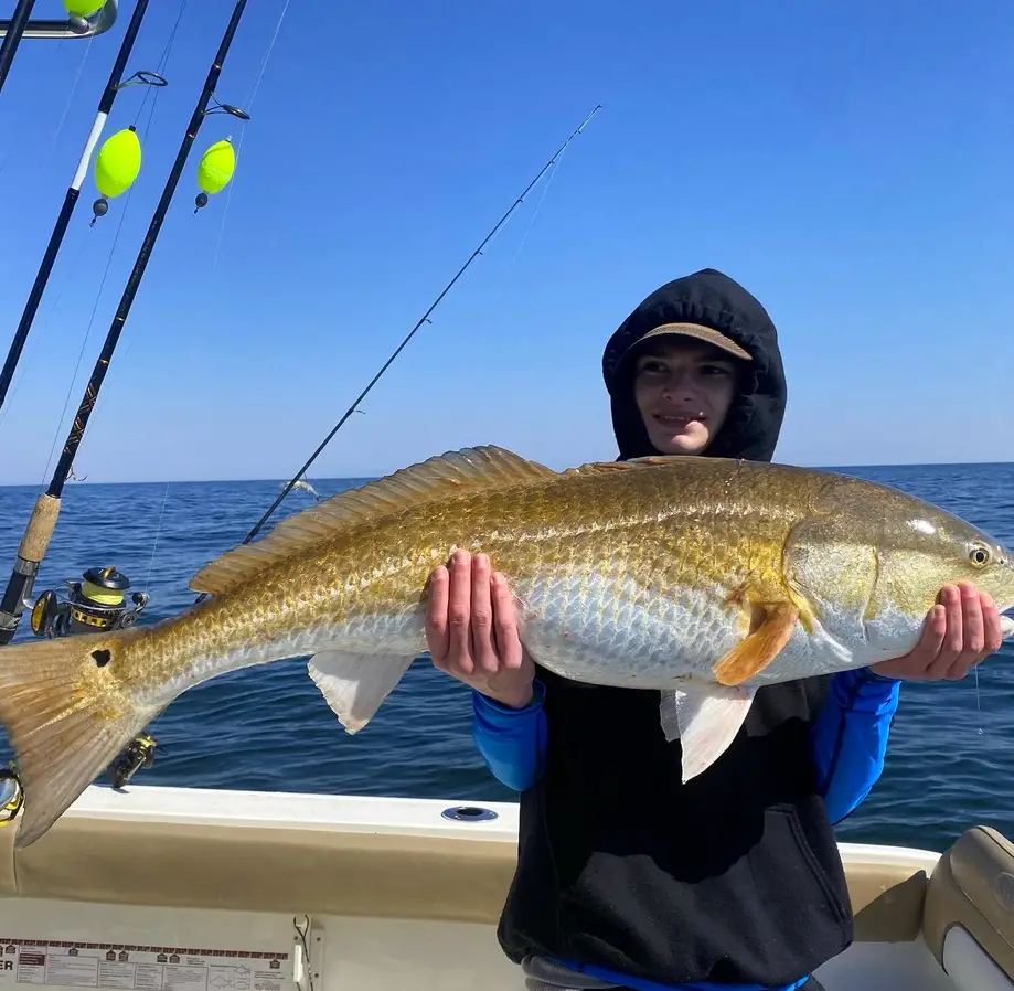 Half-Day Inshore Trip