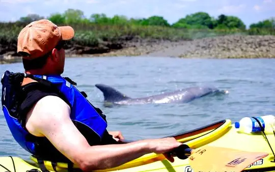 24 Hour Kayak Rentals