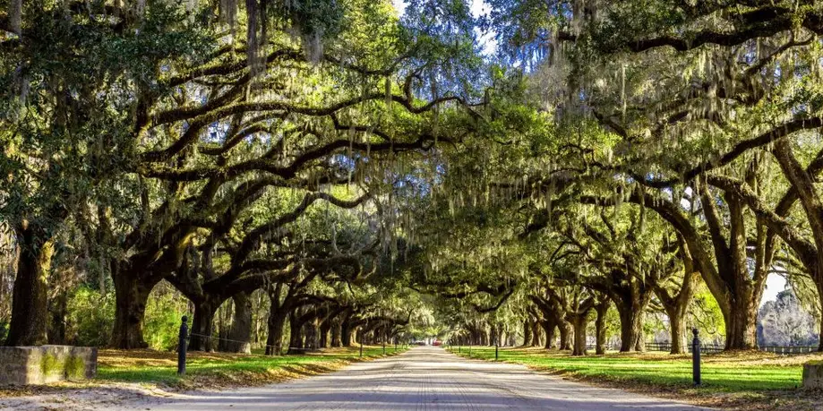 Boone Hall General Admission