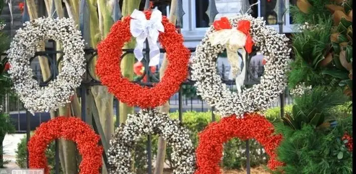 The Charleston Stroll Holiday Walking Tour
