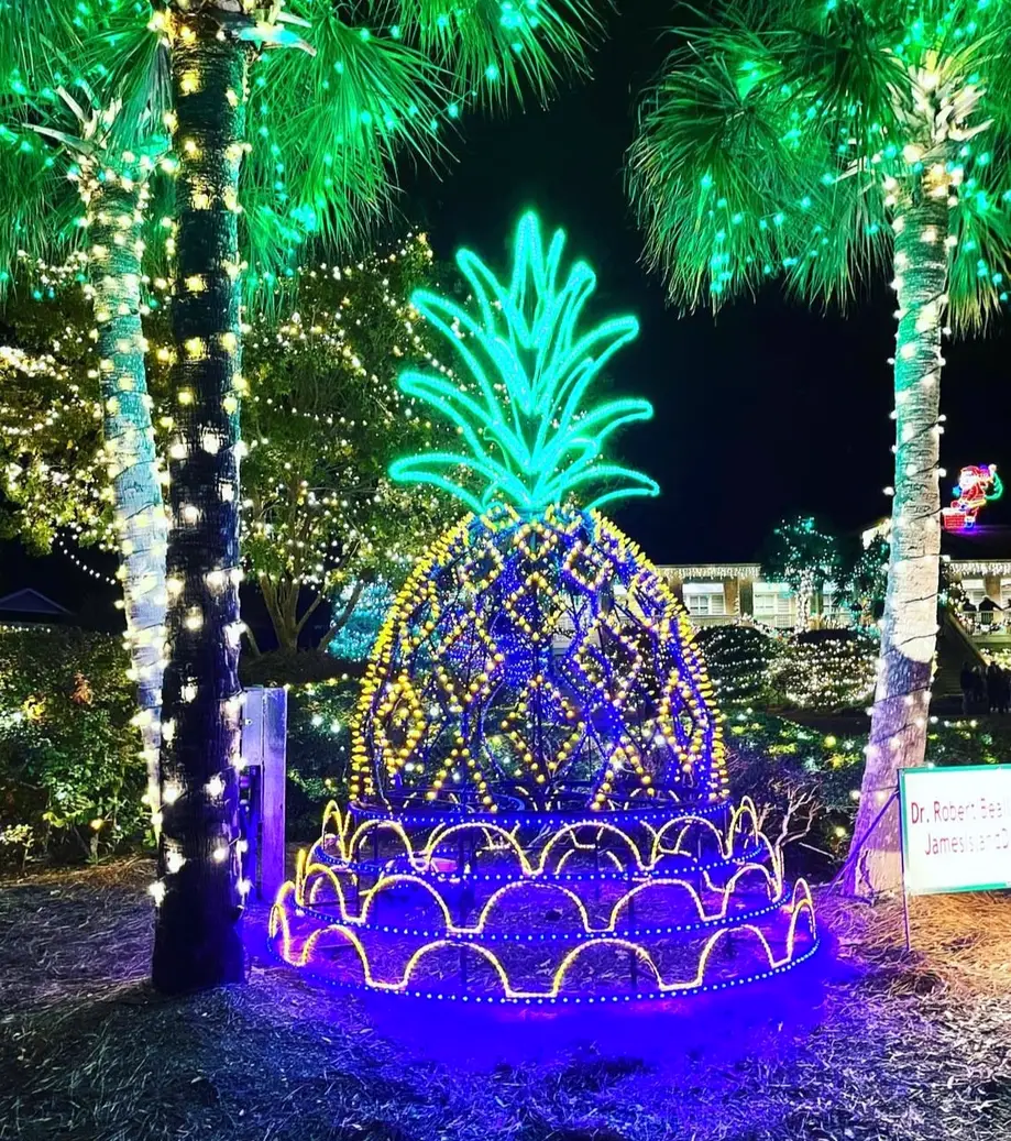 Holiday Festival of Lights