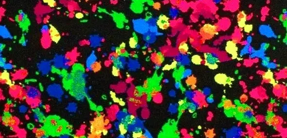 Splatter Paint Party