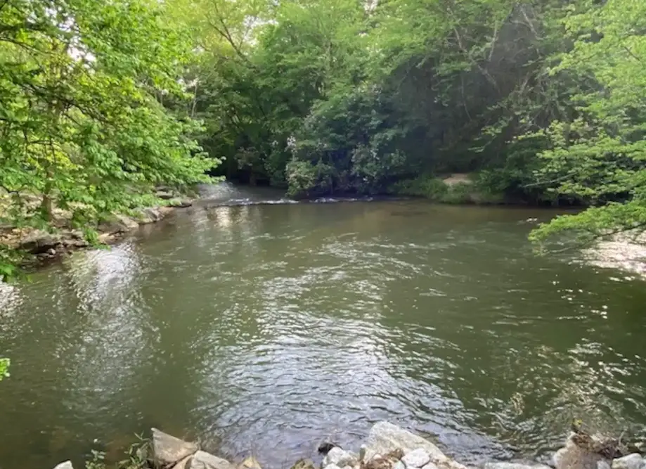 Half Day Fly Fishing (Private Waters)