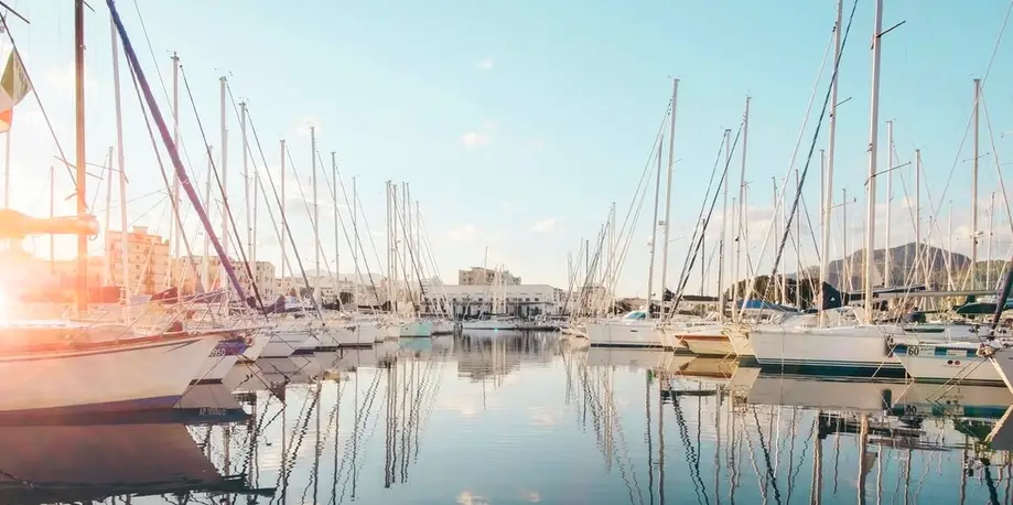 Daytime Harbor Cruise