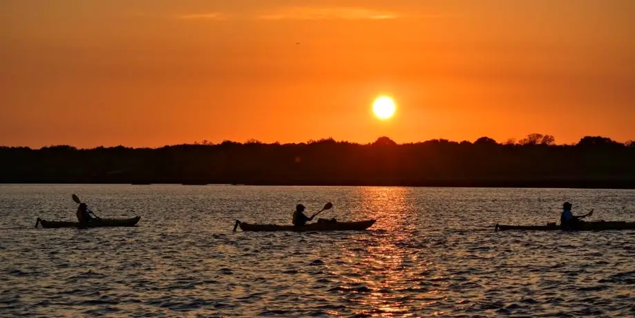 Marsh Kayaking Tour - 2 Hours