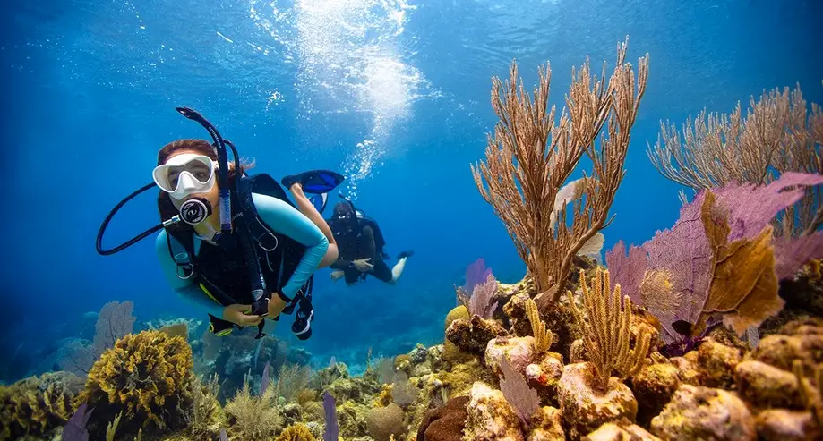 Open Water Scuba Diver