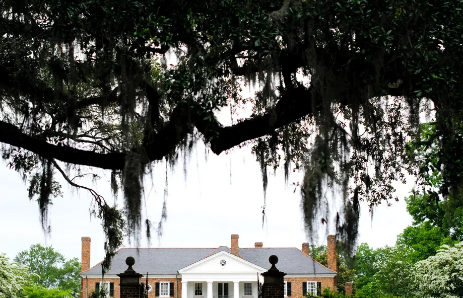 Charleston Style VIP Tour