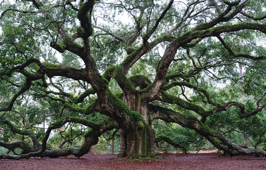 OUTPOST PHOTO ACADEMY