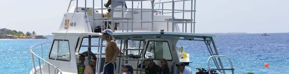 Professional Certifications