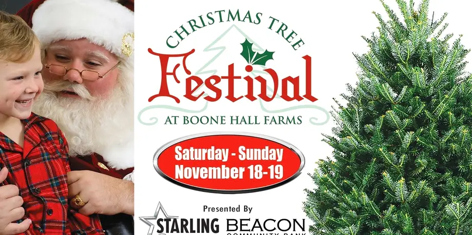 Christmas Tree Festival At Boone Hall Farms