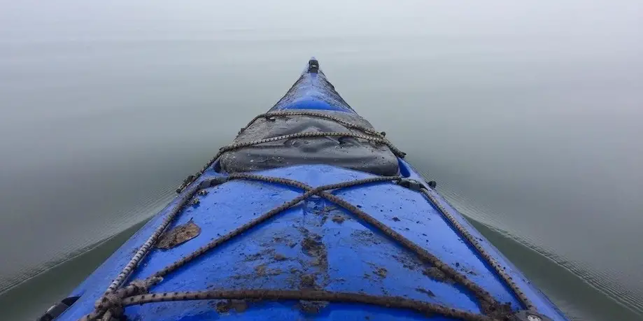 Morning Kayak Tour