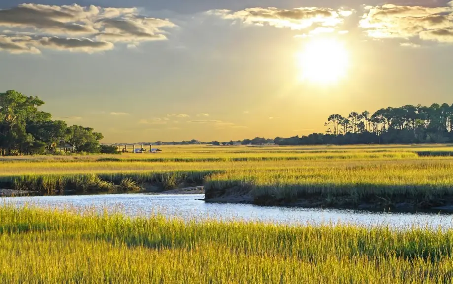 Paddleboard Safari Excursion KR