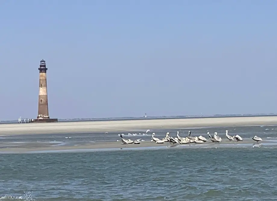 Morris Island Drop Off