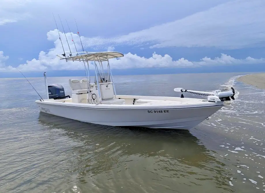 2.5 Hour Shark Fishing Trip