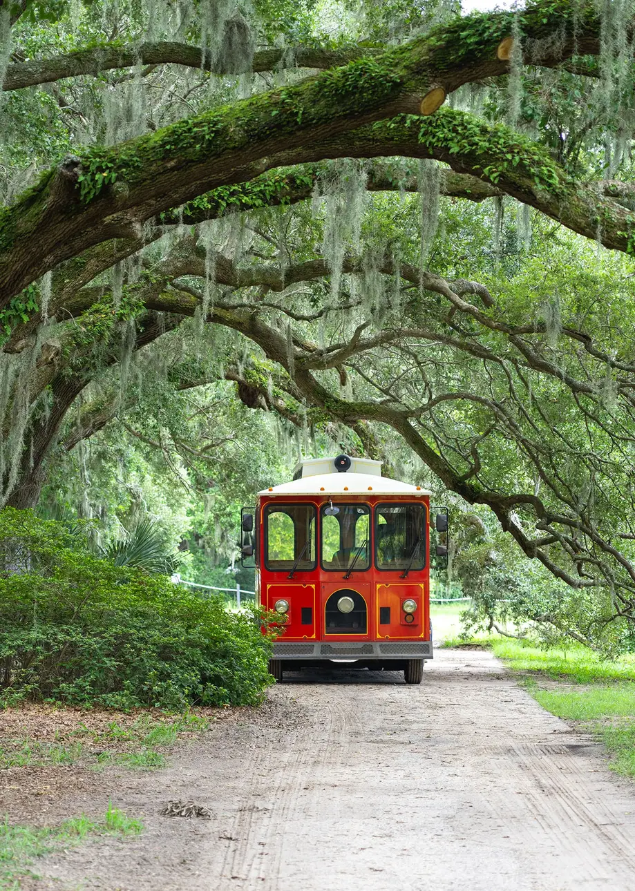 Trolley Tour