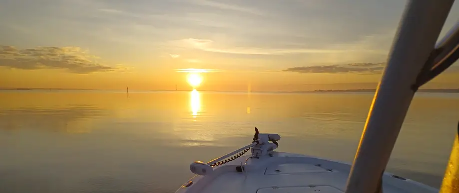 Private 90 minute evening Dolphin cruise