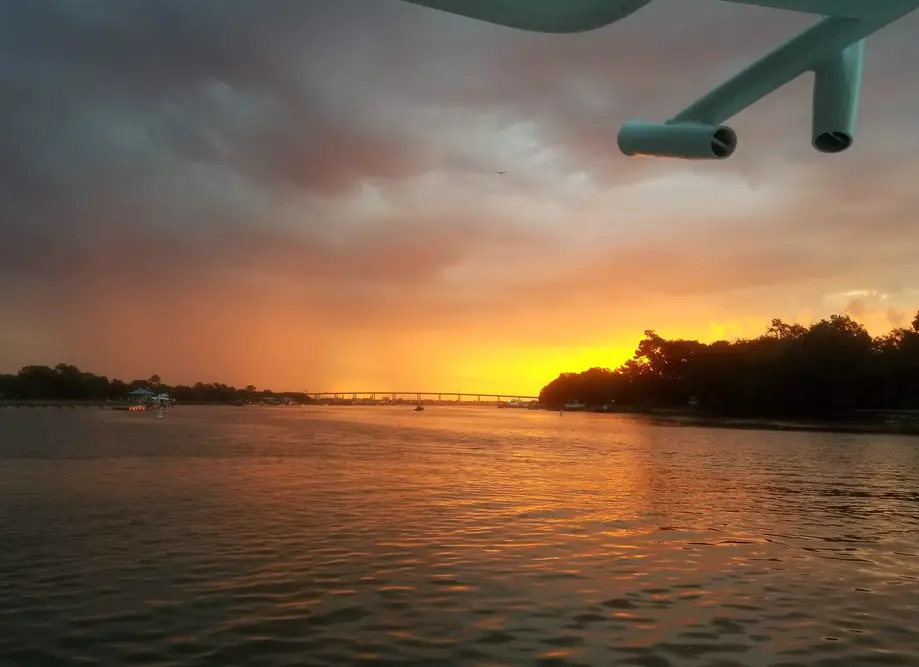 90 minute evening Dolphin Cruise