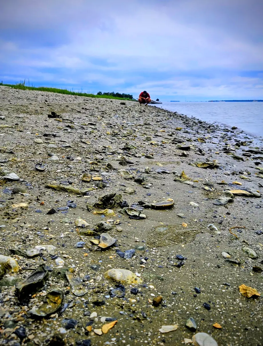 Shark Teeth & Fossil Island Adventure Boat Tour