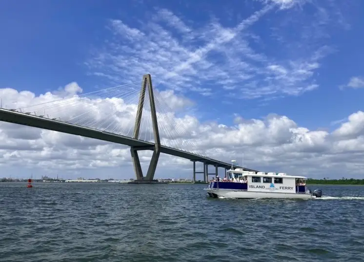 Island Ferry Sightseeing Cruise & Dolphin Watch (Downtown)
