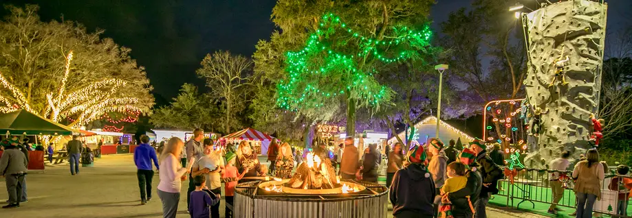 Charleston Festival of Lights with Small Group Transportation