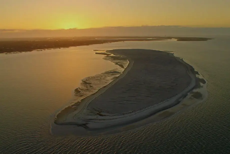 Crab Bank Island Shark Tooth Trip - 2 Hour Sandbar Adventure