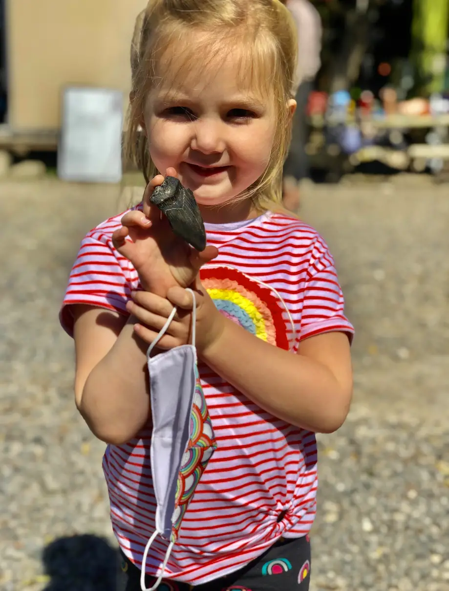 Shark Tooth Easter Egg Hunt